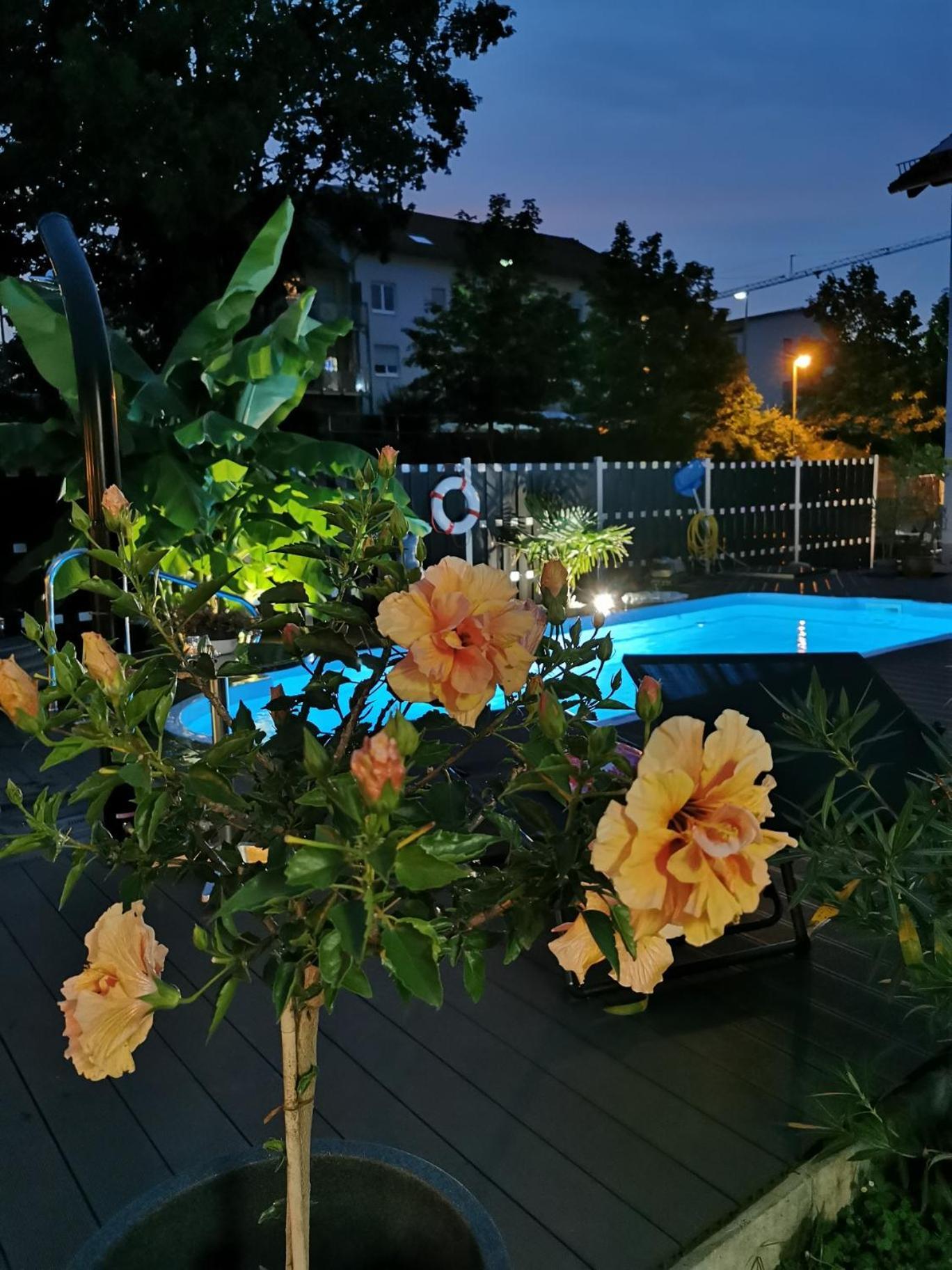 Apartmenthaus Wertheim Dış mekan fotoğraf