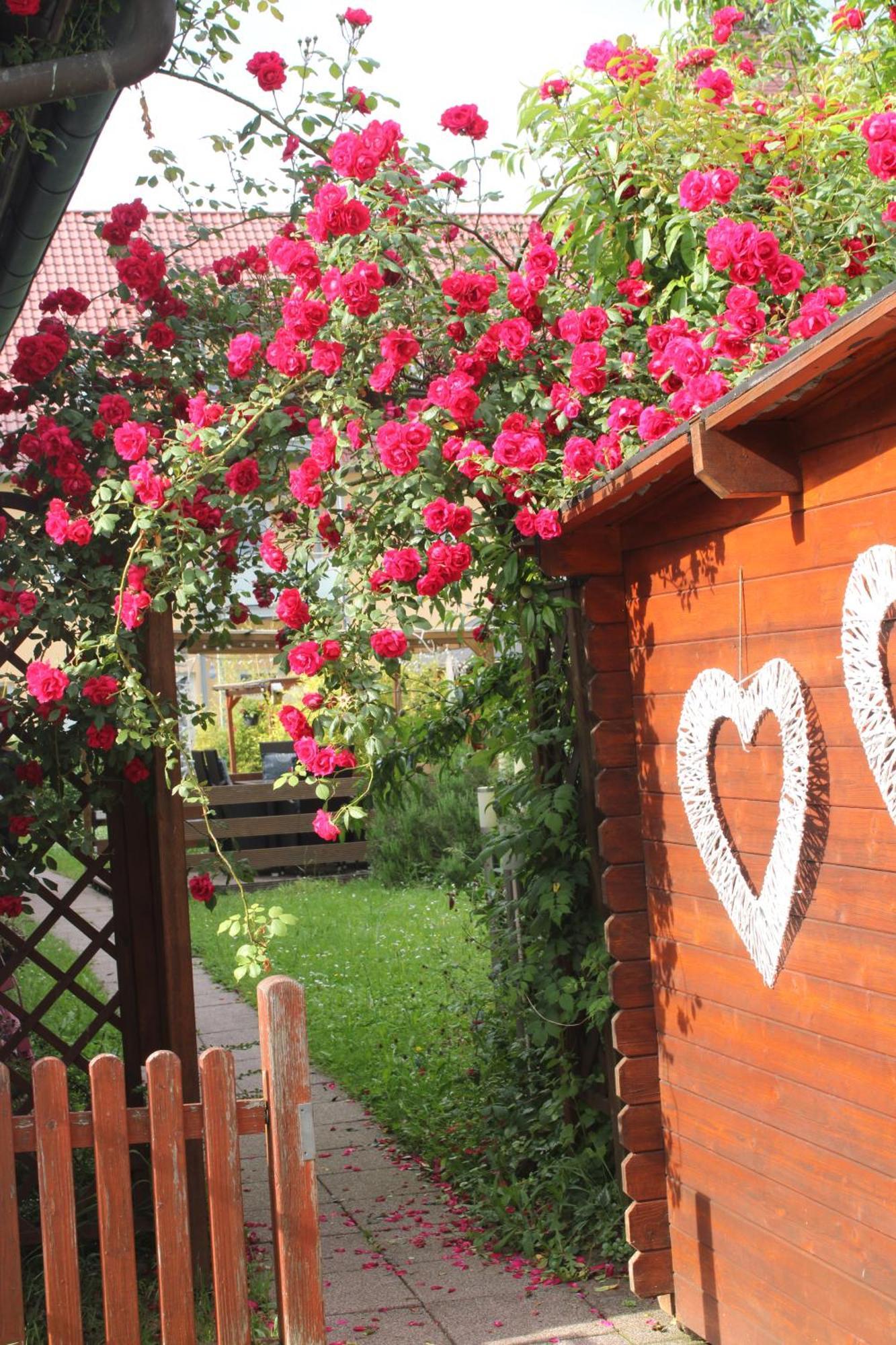 Apartmenthaus Wertheim Dış mekan fotoğraf
